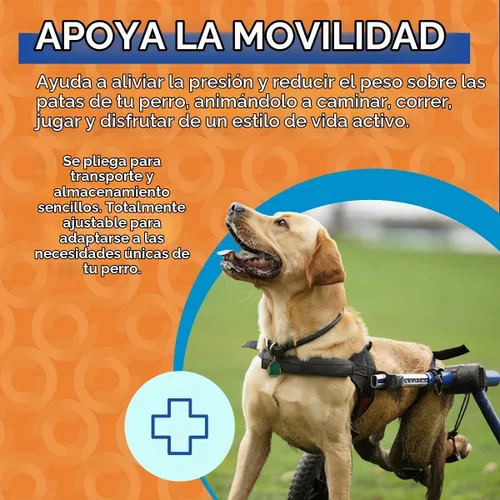 Vista 5 de Silla de ruedas de perro para perros pequeños, 26 a 69 libras, de Walkin' Wheels, 5, Azul