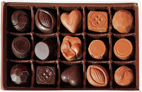 Vista 3 de Lang's Chocolates Chocolates negros surtidos – Lechería kosher certificada – Caja de chocolates para regalar – Caramelo, mantequilla de maní, racimo