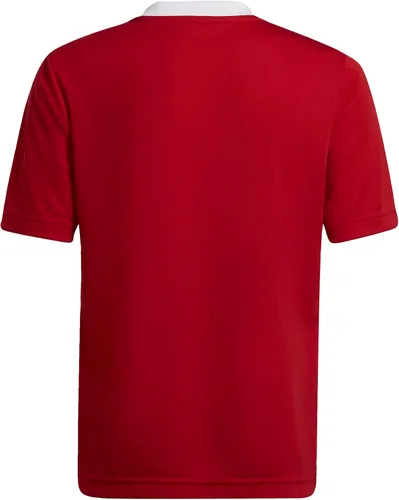 Vista 8 de adidas Entrada 22 - Camiseta para niños