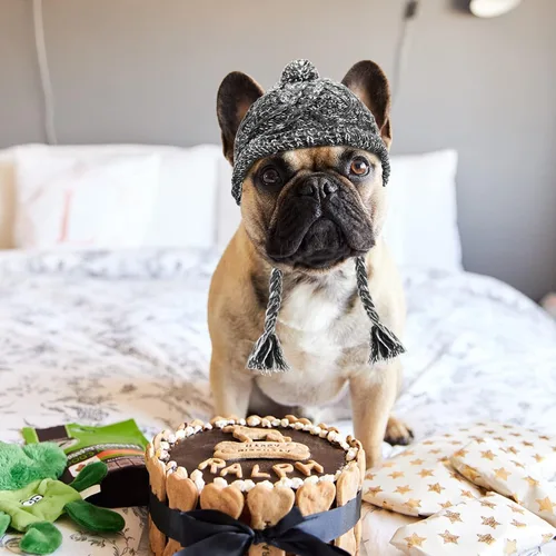 Vista 3 de Weewooday Gorro de invierno para perro, 2 piezas, cálido, con pompón, gorro de punto para perro con agujeros para las orejas, gorro de punto