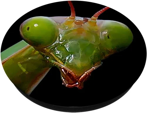 Vista 2 de PopSockets Green Praying Mantis - Soporte y agarre para teléfonos y tabletas, Negro