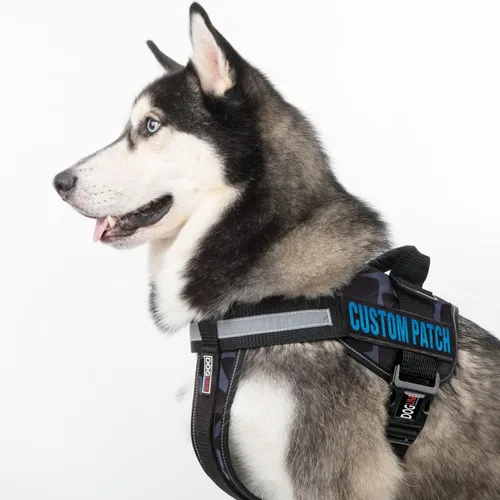 Vista 5 de Dogline Parche personalizado con letras con brillantina para perro, chaleco, arnés o collar, parches personalizables con texto brillante Azul