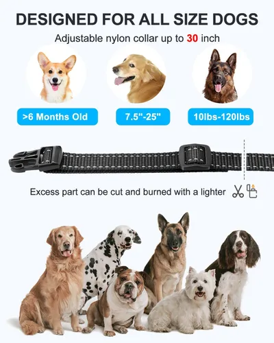Vista 7 de Collar de entrenamiento para perros con control remoto para 2 perros, 10-120 libras, 3300 pies, impermeable, sin golpes, collar de perro vibratorio
