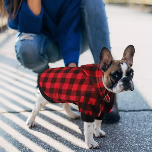 Vista 5 de Sudadera con capucha a cuadros para perros extra pequeños, gatos, cachorros, abrigo cálido y suave (XS)