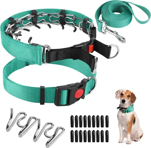 Vista 13 de Collar de entrenamiento de puntas con puntas cómodas y hebilla de cierre rápido – Collar de pellizco para perro con cubierta de nailon
