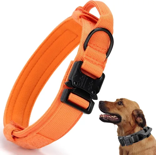 Vista 21 de Collar táctico para perro, collar ajustable de nailon para entrenamiento militar con mango de control y hebilla metálica de liberación rápida pesada