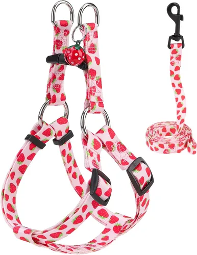 Vista 8 de BEAUTYZOO Juego de arnés y correa para perro, arnés ajustable para cachorros, chaleco de nailon suave a prueba de escapes con doble anillo en D