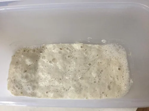 Vista 2 de Arrancador de masa madre auténtica cultura de San Francisco con receta fácil a prueba de tontos. Verdadero iniciador de masa madre orgánica original