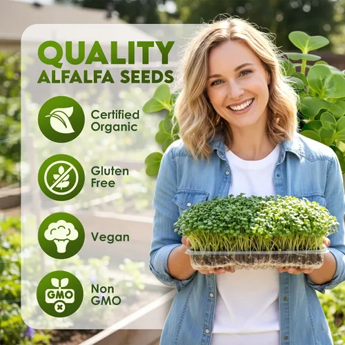 Vista 2 de Nature Jims Sprouts Semillas de alfalfa – Kit de cultivo de brotes orgánicos sin OMG para plantar – Bolsa resellable premium para semillas frescas