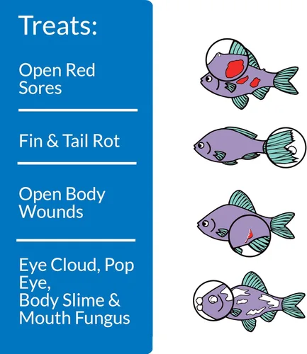 Vista 2 de API MELAFIX - Remedio para infecciones bacterianas de peces de agua dulce, botella de 4 onzas