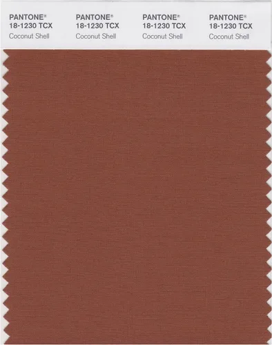 Vista 22 de PANTONE Tarjeta de muestra de color inteligente 18-1314X, bellota