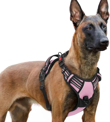 Vista 30 de Rabbitgoo - Arnés para perro de tamaño pequeño, arnés para mascotas sin tirones con 3 hebillas, chaleco acolchado suave ajustable con mango