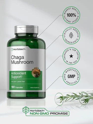 Vista 5 de Horbäach Cápsulas de hongos Chaga 180 píldoras Suplemento de extracto sin OMG y sin gluten