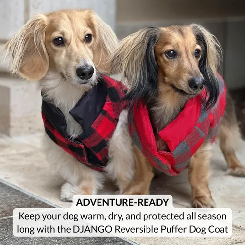Vista 9 de DJANGO Abrigo de invierno reversible para perros con acolchado – Chaqueta de invierno cálida para perros y abrigo aislante repelente al agua