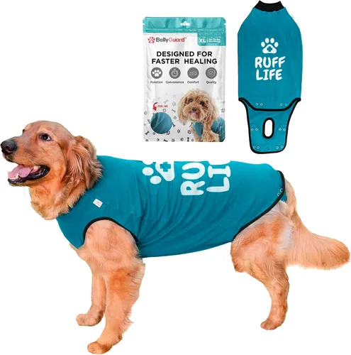 Vista 21 de Traje de Recuperación Quirúrgica BellyGuard para Perros, Mameluco para Perros para Cuidado Post-Operatorio, Ropa de Recuperación para Perros Hembra