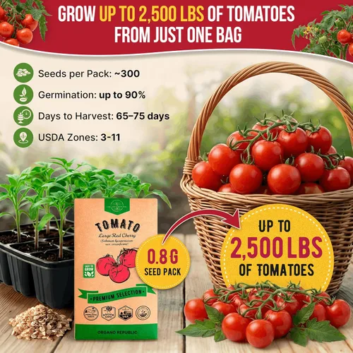 Vista 4 de Paquete de semillas de cereza grandes de tomate de 0.03 oz – Más de 300 semillas de tomate tradicionales sin OMG para plantar verduras en paquete