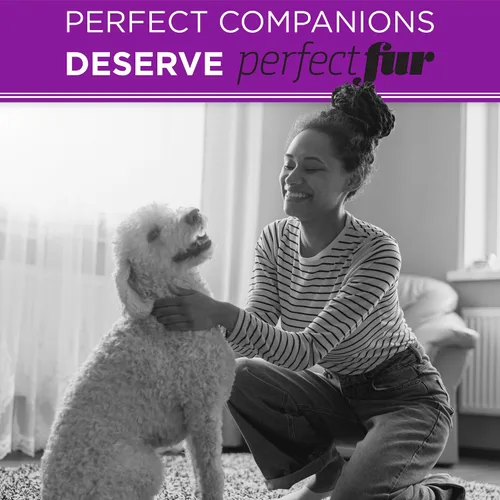 Vista 7 de TropiClean Champú Natural Desenredante Perfect Fur para Perros con Pelo Rizado y Ondulado como Doodles, Poodles y Otras Razas, Champú Hidratante