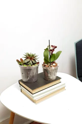 Vista 5 de rePotme Macetas de 4 pulgadas, paquete de 6 macetas (transparentes), maceta transparente ranurada para plantas de interior, perfecta para orquídeas