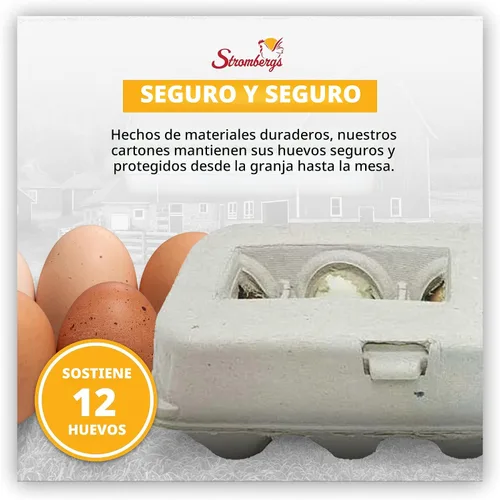 Vista 6 de Cartones de Huevo Grandes en Blanco de Stromberg's, Paquete al Por Mayor para Huevos Grandes, Perfectos para Personalización