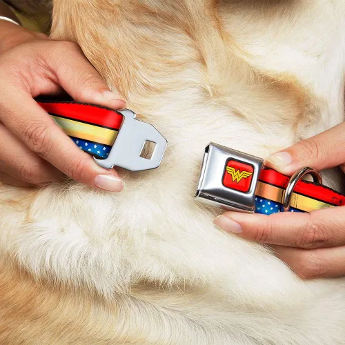 Vista 8 de Buckle-Down Collar de perro con hebilla de cinturón de seguridad, diseño de mujer maravilla, rayas, estrellas, rojo, oro, azul, blanco, 1 pulgada