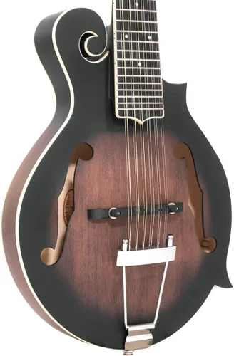 Vista 3 de Gold Tone F-Style - Guitarra de mando de 12 cuerdas con estuche rígido