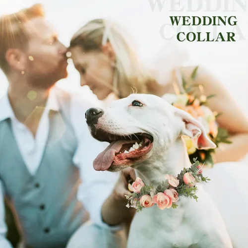 Vista 2 de Honoson Collar de flores de boda para perro, atuendo floral rosa, lazo de corona para mujeres, mascotas, gatos, fiesta, accesorios para fotos