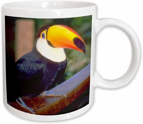Vista 12 de 3dRose Florene Birds - Tucán - Tazas (mug_17933_9)