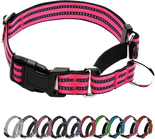 Vista 9 de Martingale - Collar reflectante de nailon ajustable con hebilla de liberación rápida, collares de entrenamiento para perros pequeños, medianos