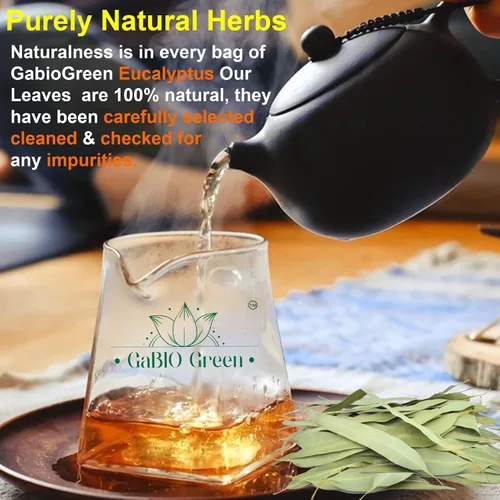 Vista 7 de Hojas enteras de eucalipto, calidad premium, hojas enteras de eucalipto (más de 500 hojas) 1 libra de té suelto de hierbas, té de eucalipto de hoja