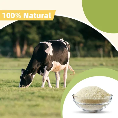 Vista 3 de Besway Gelatina de carne en polvo sin sabor 8 oz, gelatina culinaria para gomitas, malvaviscos, postres y más, sin OMG, Halal, Keto, producto