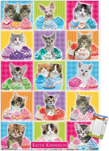 Vista 11 de Trends International Keith Kimberlin - Kitten - Cupcake Wall Poster, 14.725" x 22.375", Barnwood Framed Version