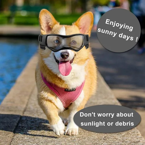 Vista 5 de Gafas de sol para perros de raza pequeña, gafas para perros pequeños, resistentes al viento, antivaho, anteojos ajustables para perros pequeños