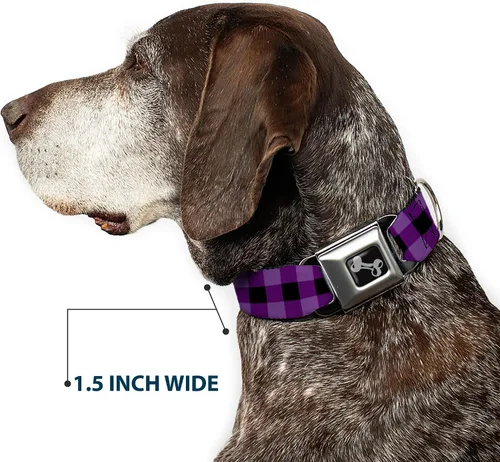 Vista 7 de Buckle-Down Collar de perro con hebilla de cinturón de seguridad, diseño a cuadros de búfalo, color negro/morado, 1 pulgada de ancho, se adapta a