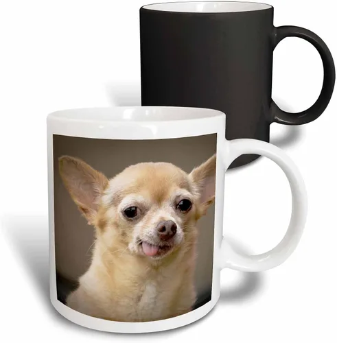 Vista 13 de 3dRose Taza de café, tamaño – 15 oz – Perro Chihuahua sin dientes, Santa Fe, Nuevo México – US32 JMR0502 – Julien McRoberts Dogs – divertido regalo