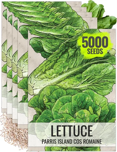 Vista 9 de Seed Needs Semillas de lechuga romana para plantar reliquia y sin OMG, 1 paquete