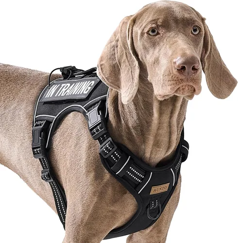 Vista 16 de Arnés para perro sin tirones para perros de tamaño pequeño, chaleco ajustable para caminar fácilmente, material Oxford transpirable, tiras Verde