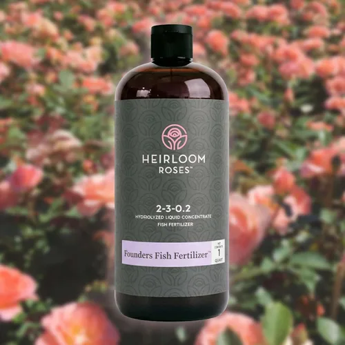 Vista 9 de Heirloom Roses, Get Growing Bundle, kit de plantación y cuidado de rosas y flores, grande