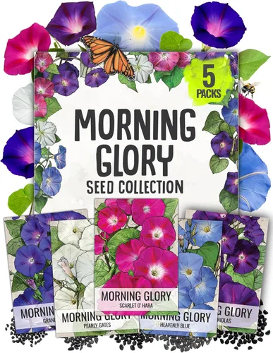 Vista 11 de Seed Needs - Semillas de Capuchina para Plantar Flores Comestibles - Juego de Colección de Mezcla Joya y Capuchinas de Doble Brillo para Atraer