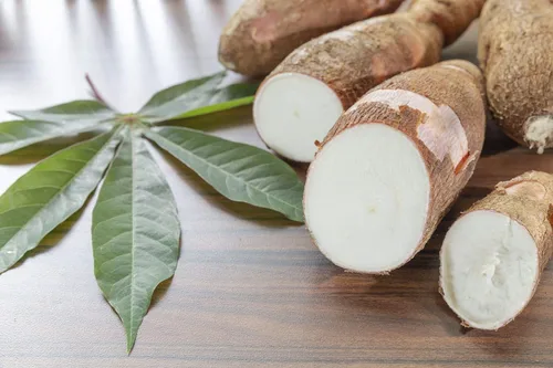 Vista 9 de Harina de yuca orgánica, 2 libras, sin OMG, polvo de raíz de yuca cruda, 100% pura, kosher, superalimento vegano, paleo, a granel, sustituto