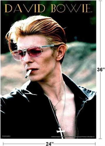 Vista 2 de David Bowie - Póster rebelde (24 x 36 pulgadas)