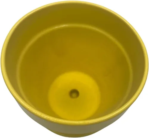 Vista 3 de Hirt's Gardens Olla y platillo de cerámica más patas de fieltro - Limón - 4" x 3.5