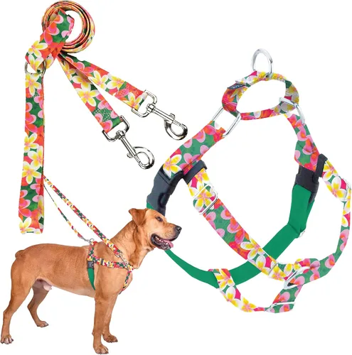 Vista 39 de 2 Hounds Design Freedom - Arnés para perro sin tirones, arnés ajustable y correa, fácil de caminar y control cómodo, se adapta a perros pequeños