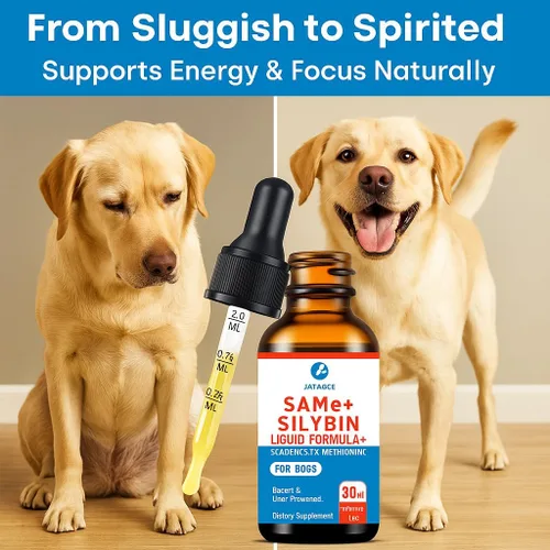Vista 5 de SAMEe - Gotas líquidas para perros, 500 mg iguales con silibina, soporte hepático de 1 oz Bacon Liver Flavored Liver Support Supplement for Dogs