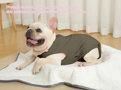 Vista 5 de Traje de recuperación postquirúrgica para perros - después de esterilización, heridas abdominales, recuperación postquirúrgica, antilameduras