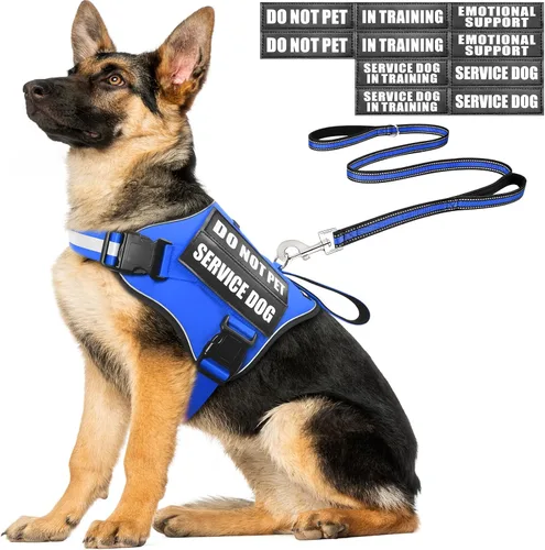 Vista 9 de Arnés de chaleco para perro de servicio MOOGROU y juego de correa+10 parches para cachorros y perros pequeños, chaleco para perro de apoyo emocional