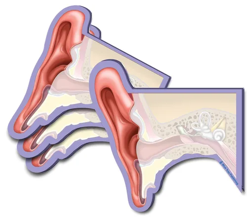 Vista 32 de Notas Adhesivas de Anatomía