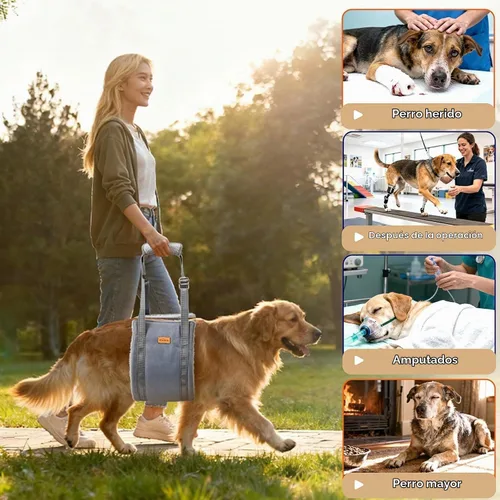 Vista 5 de Arnés de elevación para perros pequeños, arnés ajustable para patas traseras, arnés de soporte de cadera para ayudar a levantar la parte trasera