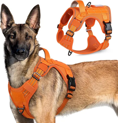 Vista 21 de rabbitgoo Arnés táctico para perros pequeños, chaleco de servicio militar sin tirones con asa y Molle, de fácil control para entrenar y caminar