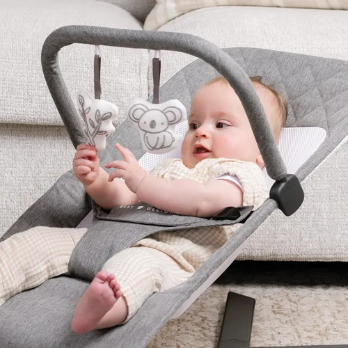 Vista 6 de Mecedora portátil Baby Delight Alpine Deluxe Para bebés 0 – 6 meses Paño color carbón