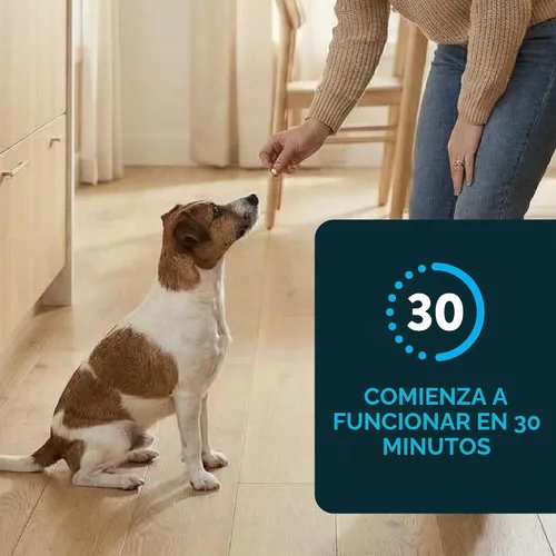 Vista 4 de Capstar (Nitenpyram) Tratamiento oral de pulgas de acción rápida para perros de 2 a 25 libras, tabletas de medicamentos recomendadas por